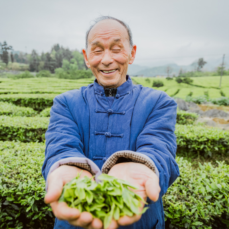  « Тяжелый фунт » « Традиционные китайские чайные навыки и связанные с ними обычаи» успешно представлены, Энши Юлу успешно выбран! 